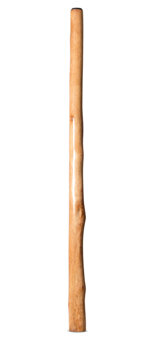 Natural Finish Didgeridoo (TW1793)